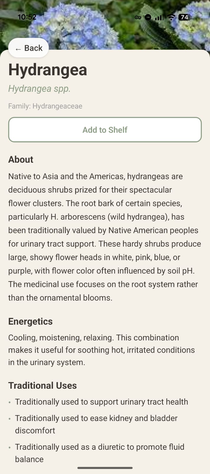 Detailed herb profile with medicinal uses and energetics